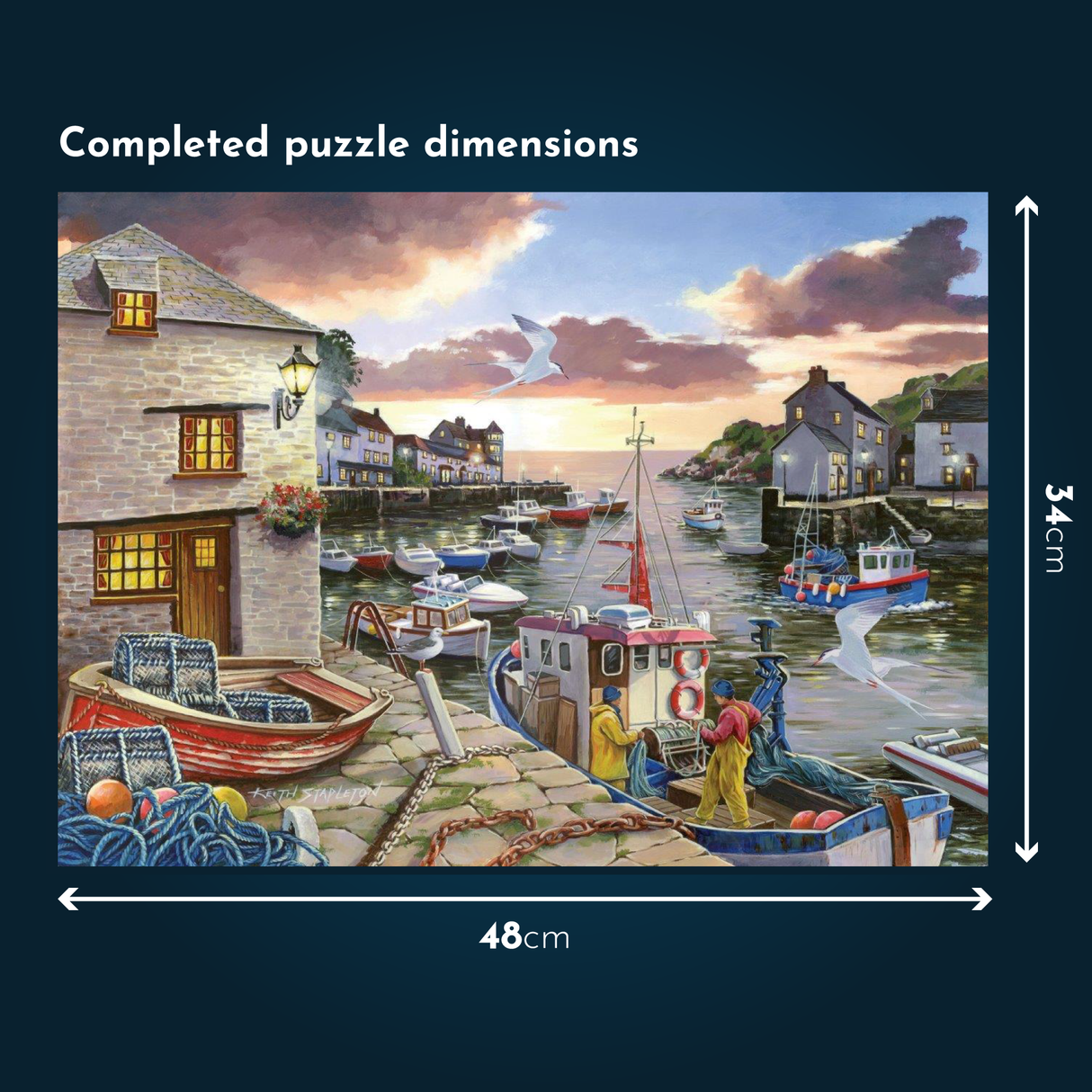 Seagull View - BIG 250 Piece Jigsaw Puzzle