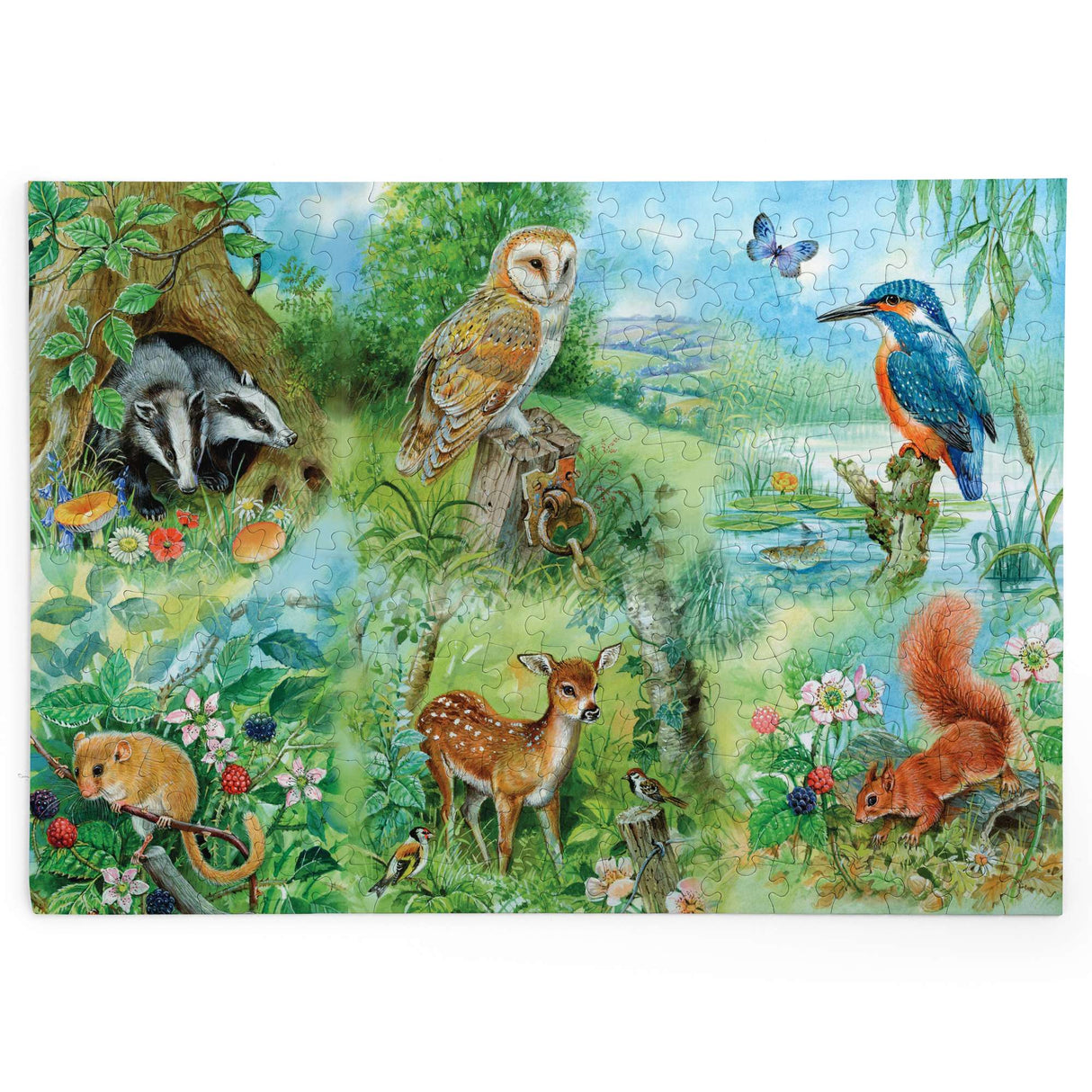 Nature Study - BIG 250 Piece Jigsaw Puzzle