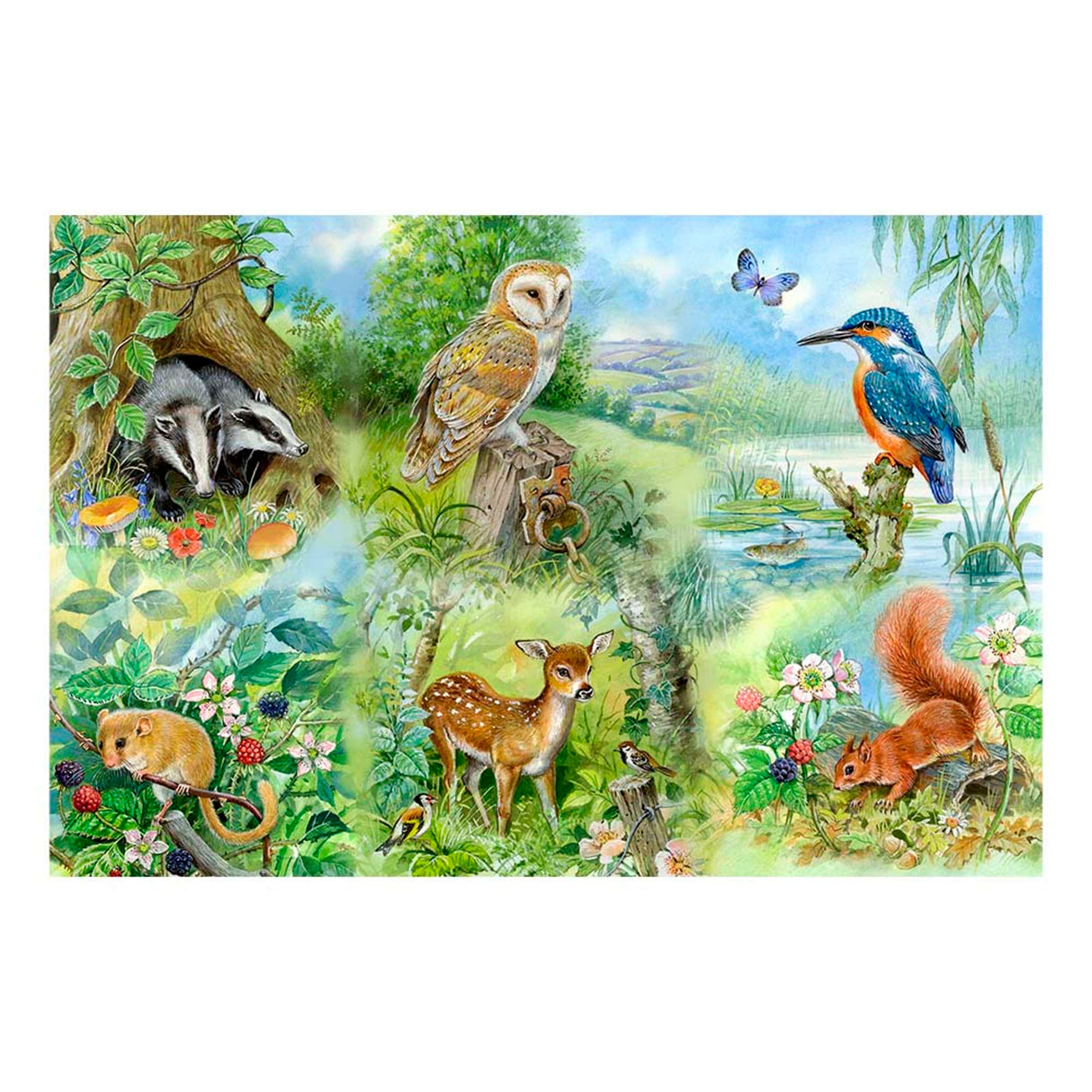 Nature Study - BIG 250 Piece Jigsaw Puzzle