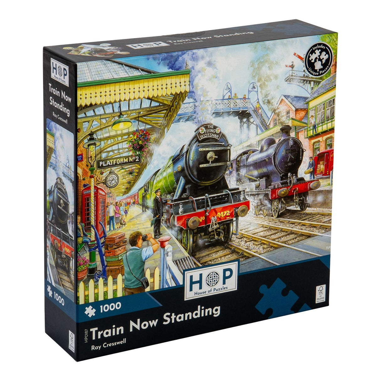 Train Now Standing - 1000 Piece Jigsaw Puzzle