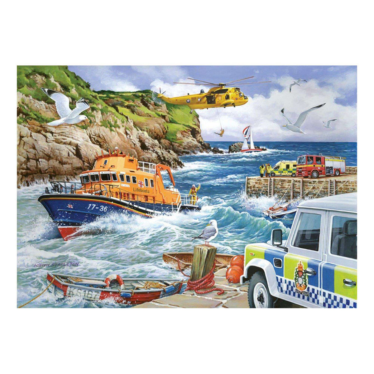 Rescue - 1000 Piece Jigsaw Puzzle