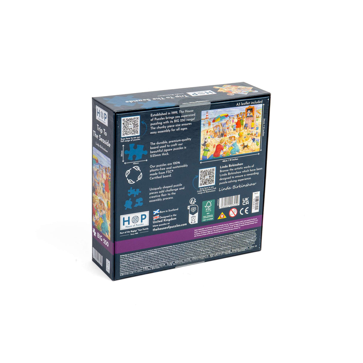 Trip To The Seaside - BIG 250 Piece Jigsaw Puzzle