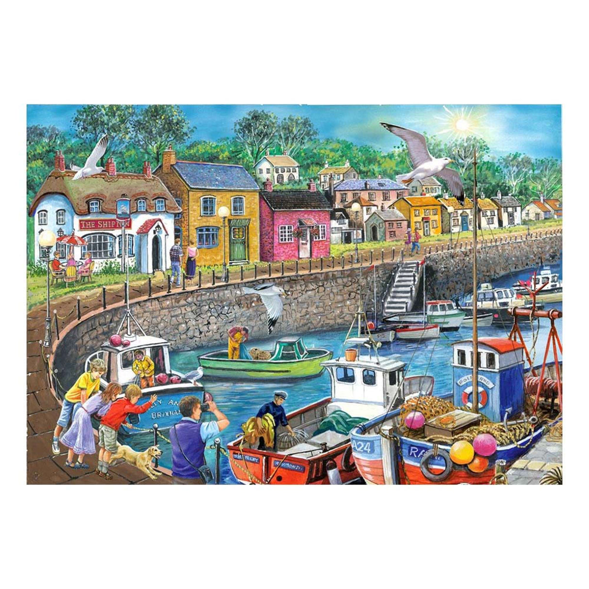 Seagull View - BIG 250 Piece Jigsaw Puzzle