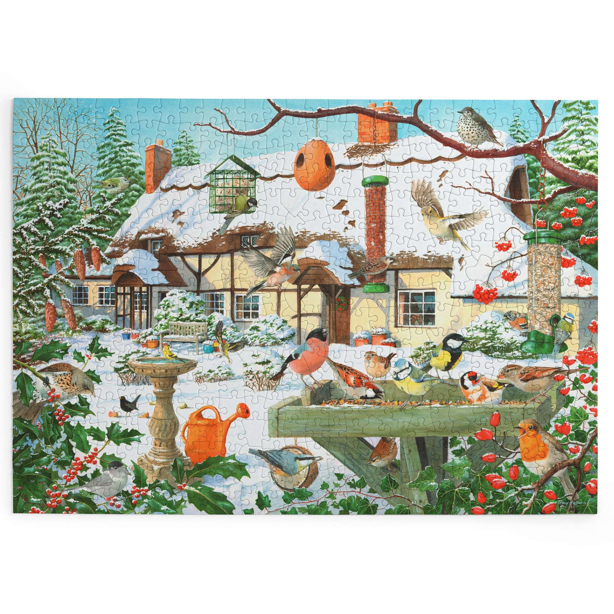 Cold Buffet - BIG 500 Piece Jigsaw Puzzle