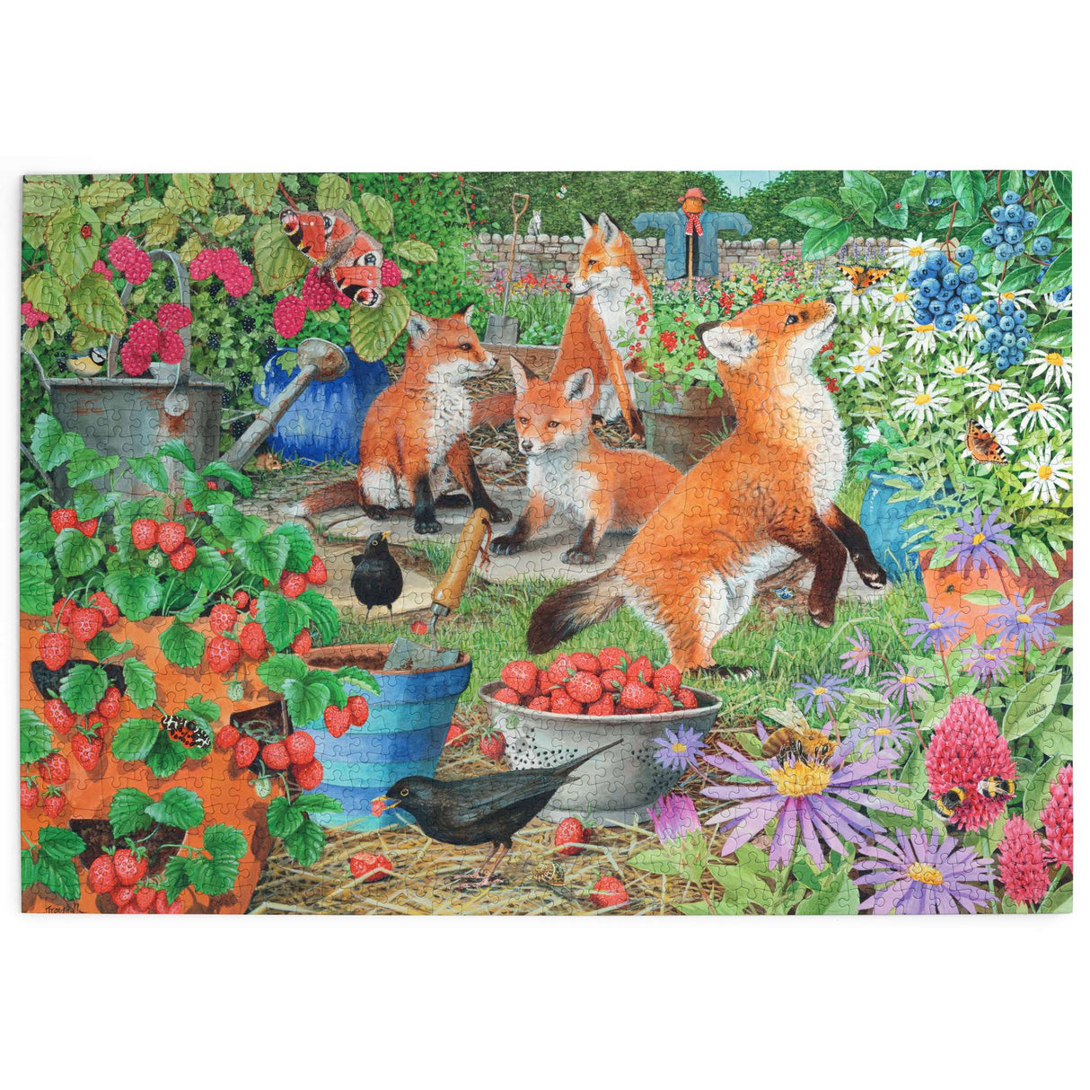 Foxy Ladies - 1000 Piece Jigsaw Puzzle