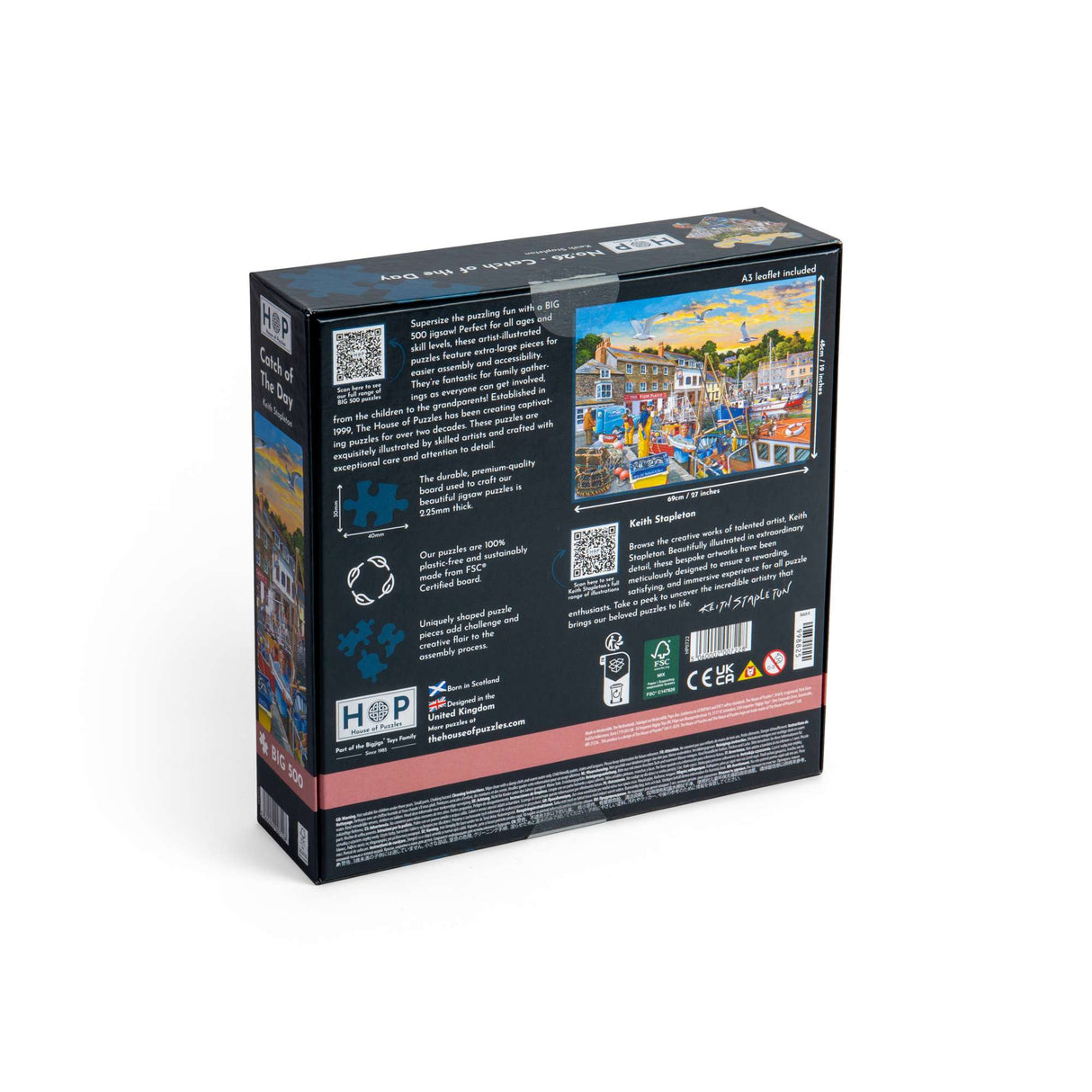 No.26 Catch of the Day Find The Difference BIG 500 Puzzle