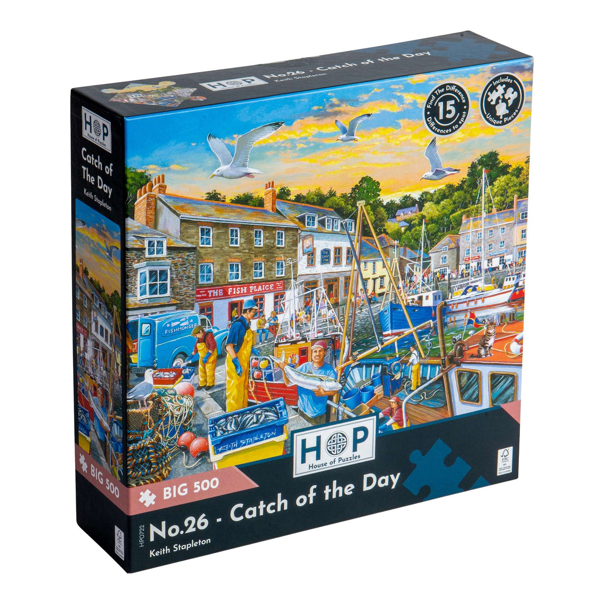 No.26 Catch of the Day Find The Difference BIG 500 Puzzle
