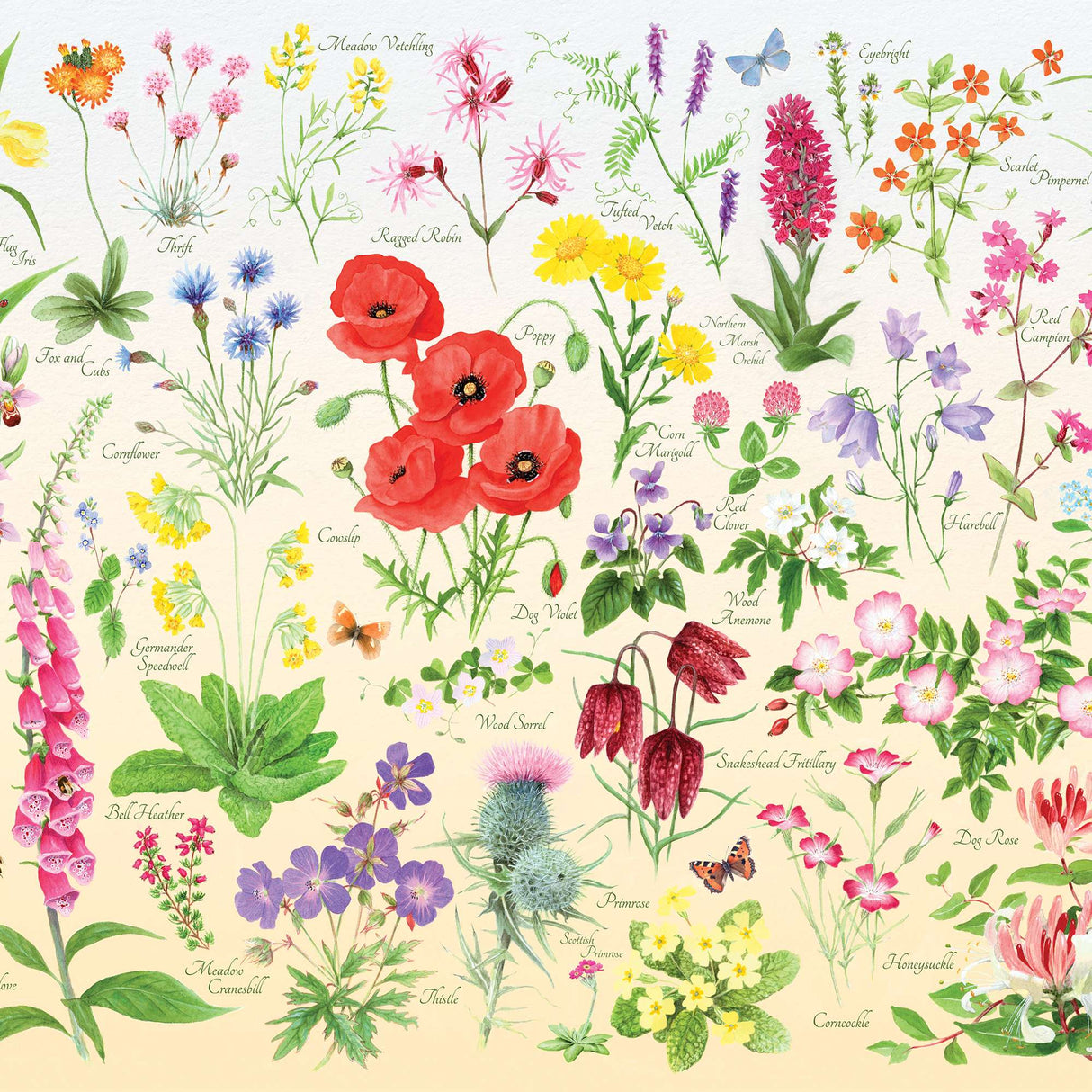 Wildflowers 150 Piece Mini Jigsaw Puzzle in a Tube