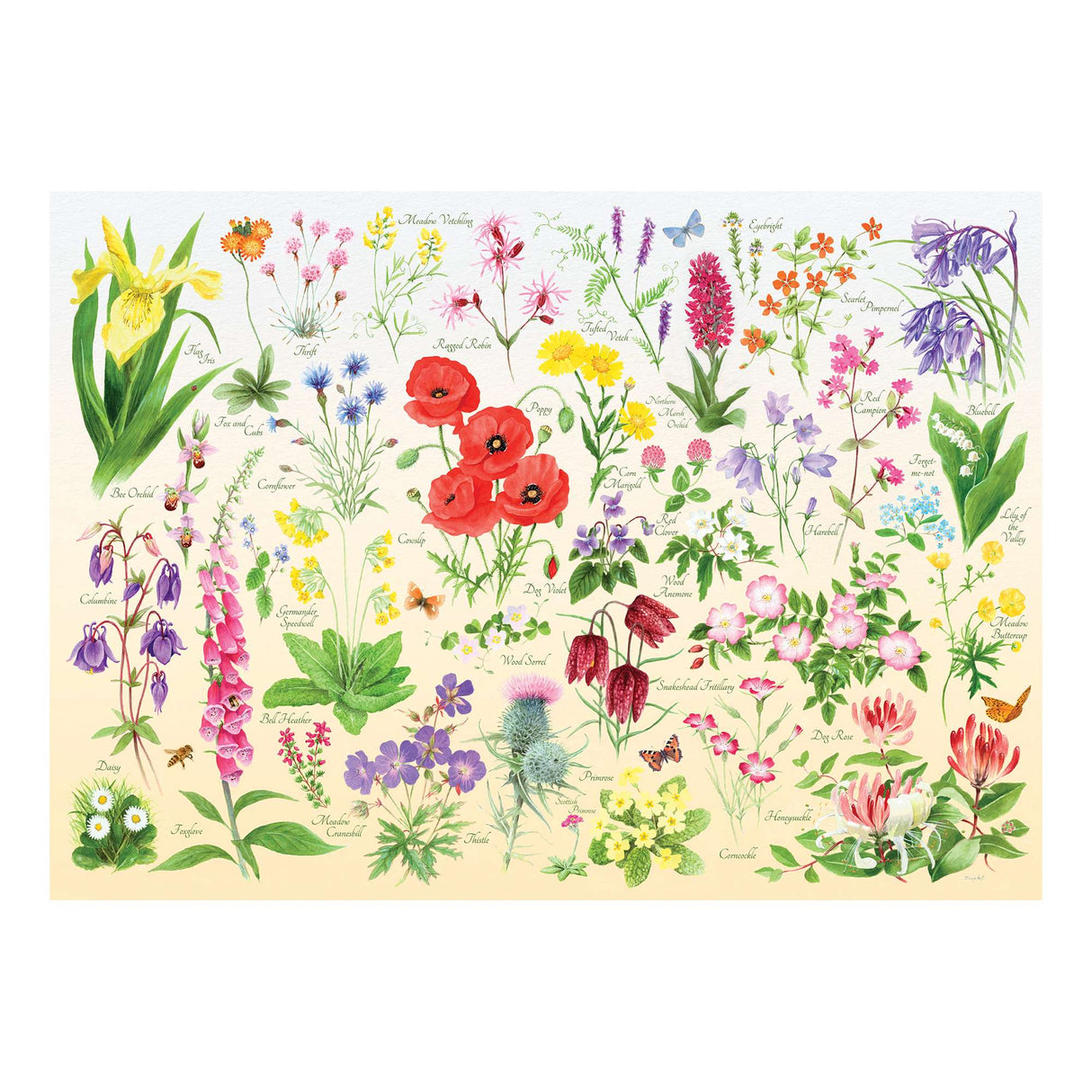Wildflowers 150 Piece Mini Jigsaw Puzzle in a Tube