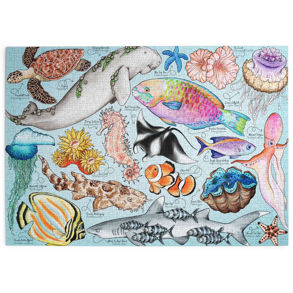 Great Barrier Reef 1000 Piece Jigsaw Puzzle