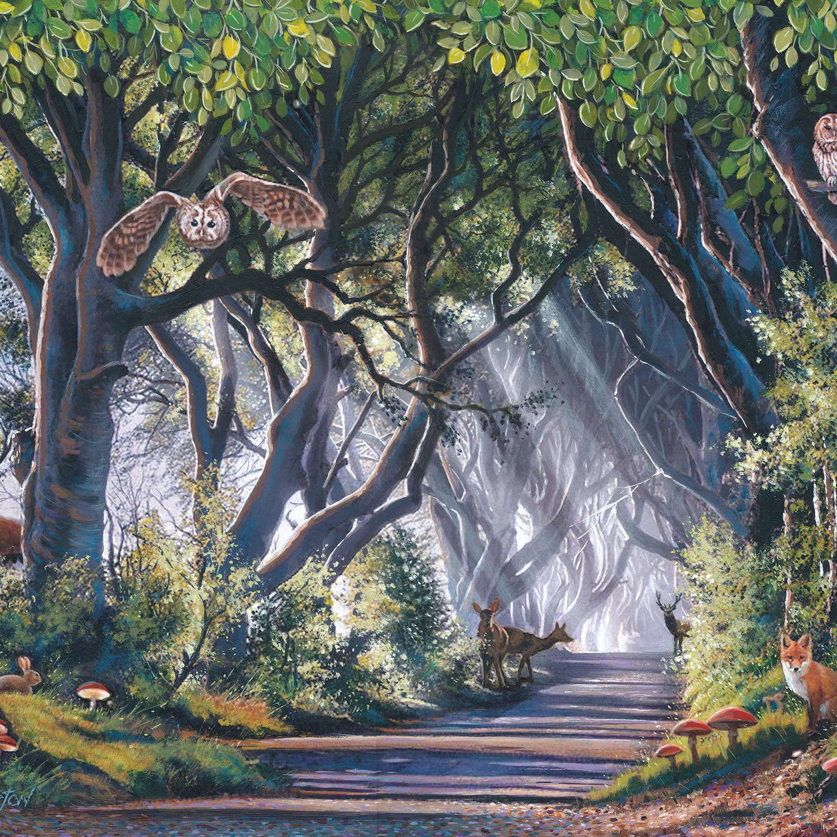 Dark Hedges 500 Piece Jigsaw Puzzle