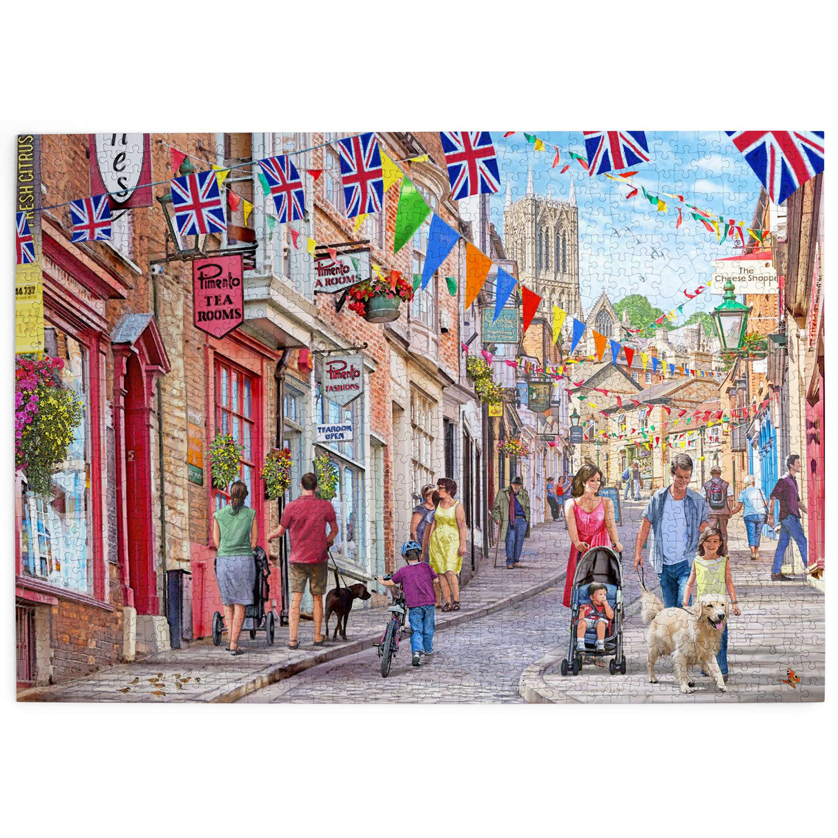 Steep Hill 1000 Piece Puzzle - Damaged Box