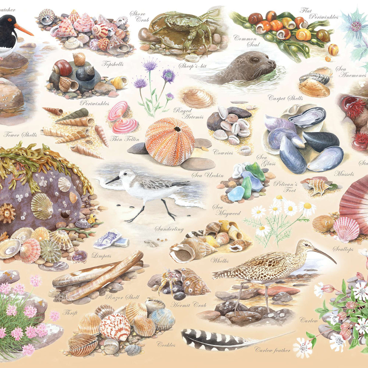 Sea Shore BIG 500 Jigsaw Puzzle