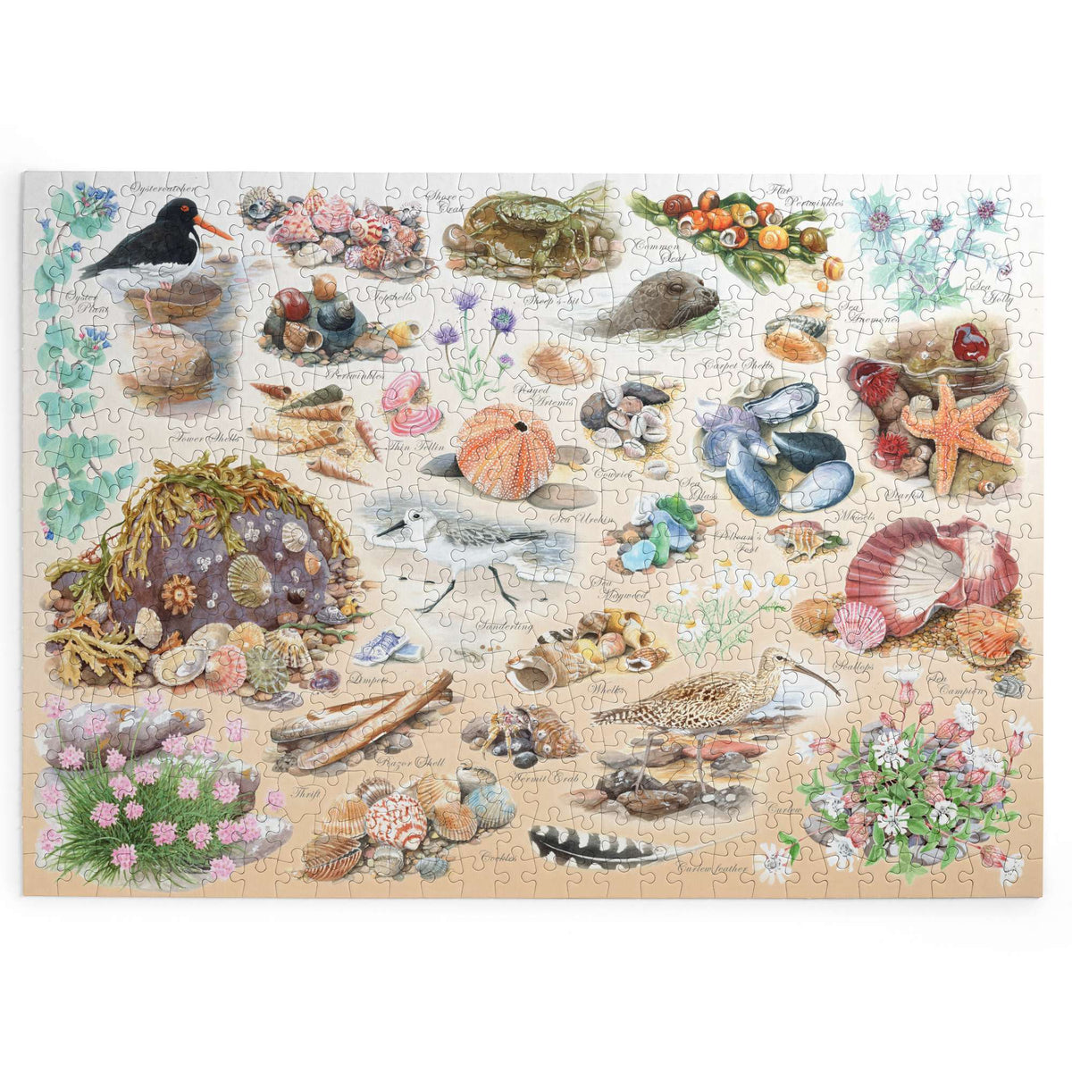 Sea Shore BIG 500 Jigsaw Puzzle