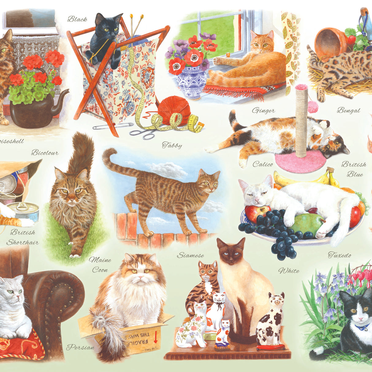 A Clowder of Cats BIG 500 Jigsaw Puzzle