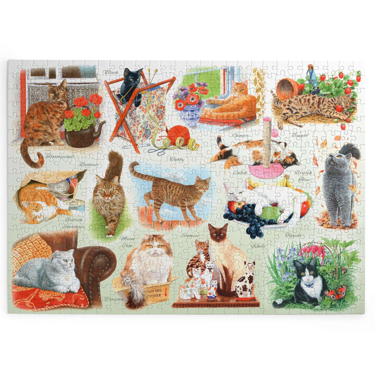 A Clowder of Cats BIG 500 Jigsaw Puzzle