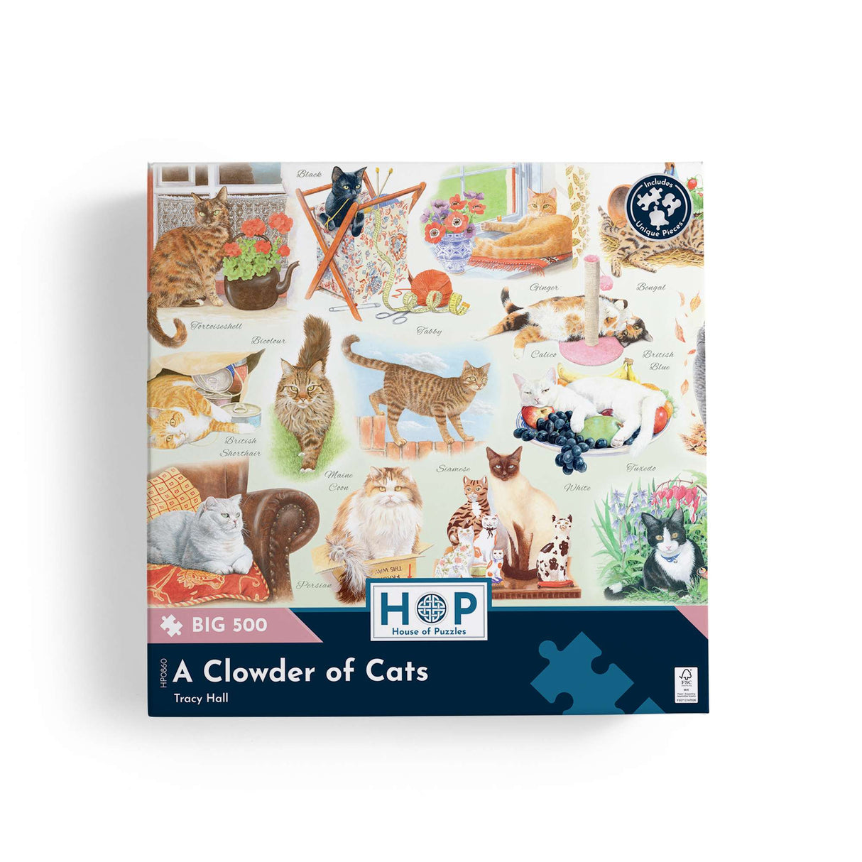 A Clowder of Cats BIG 500 Jigsaw Puzzle