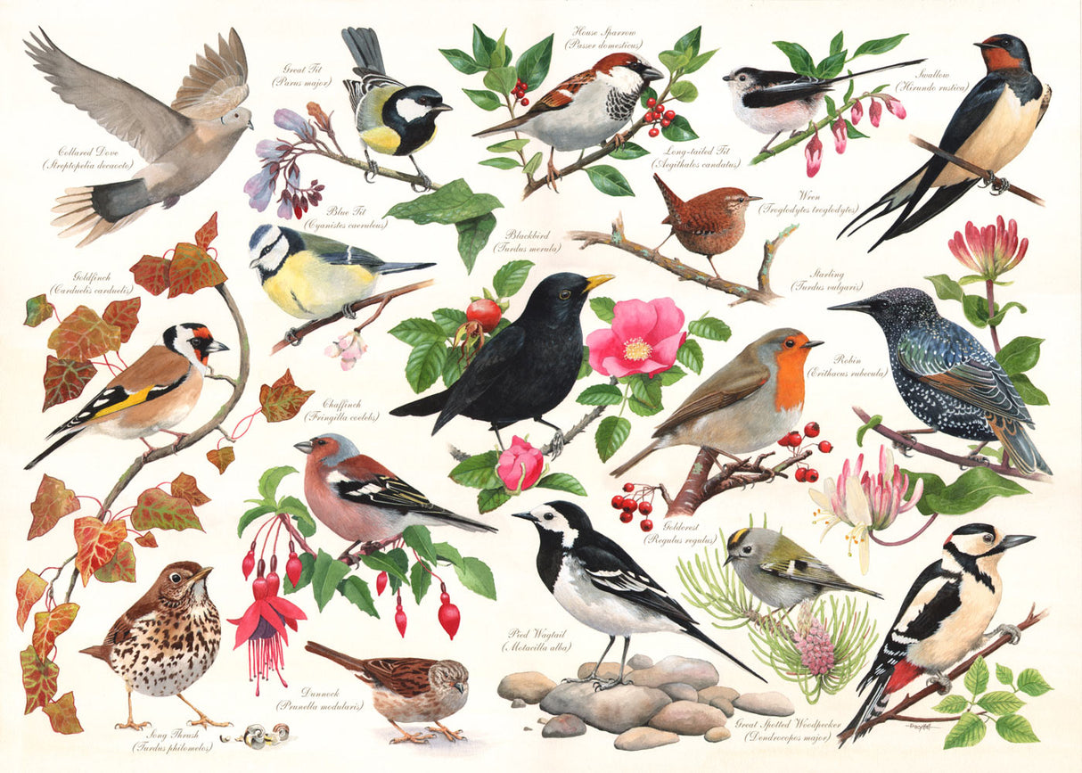 birds-in-my-garden-jigsaw-puzzle-damaged-box-HP0471-1