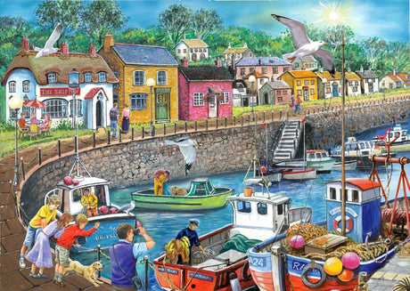 seagull-view-jigsaw-puzzle-damaged-box-HP0523-1