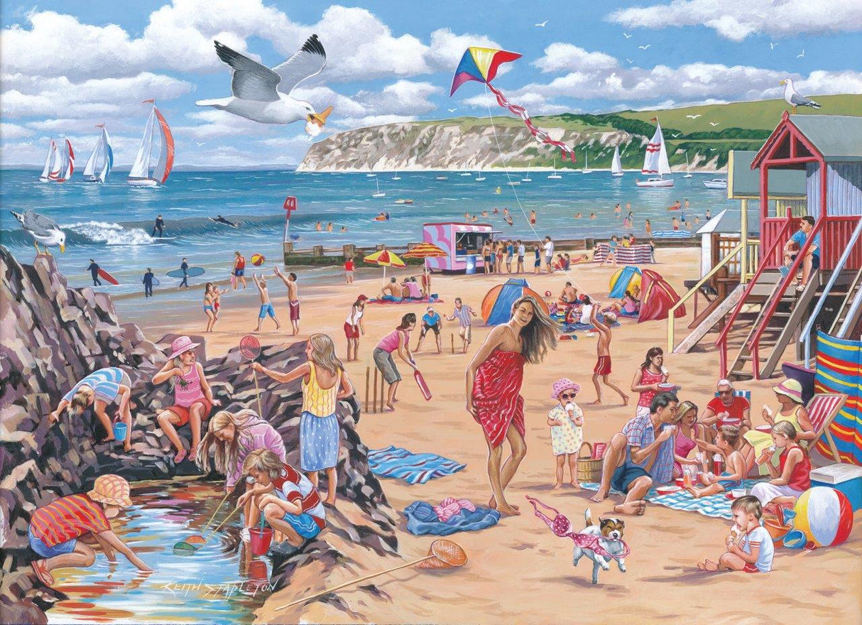 beach-break-jigsaw-puzzle-damaged-box-HP0552-1