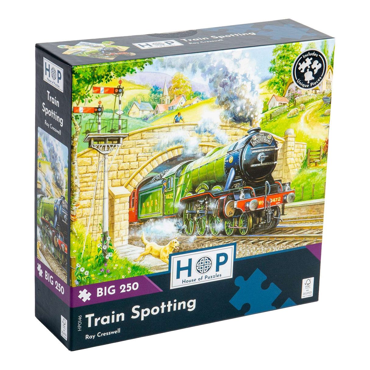 Train Spotting - BIG 250 Piece Jigsaw Puzzle