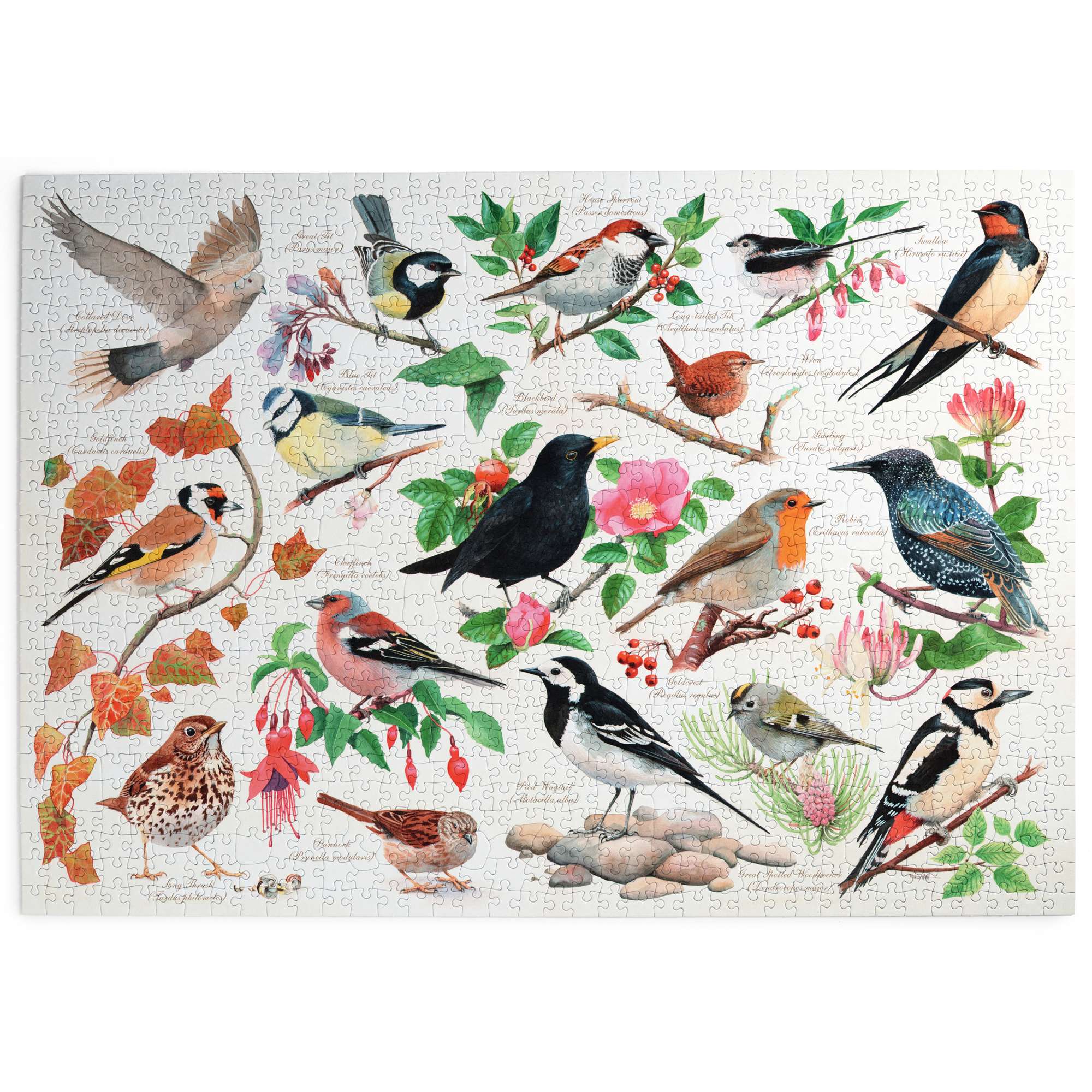 Birds In My Garden | Animals and Wildlife Jigsaw | House of Puzzles