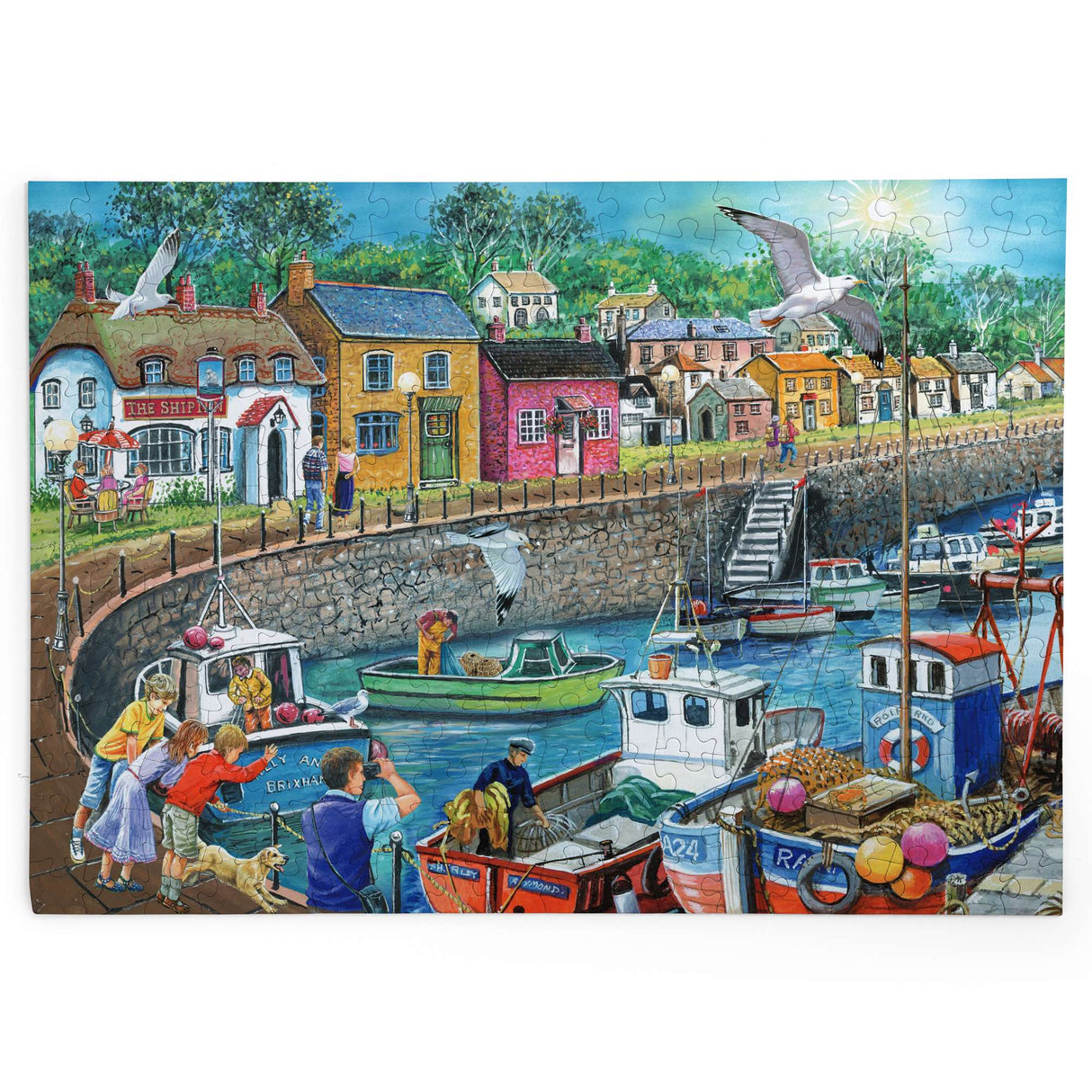 Seagull View - BIG 250 Piece Jigsaw Puzzle