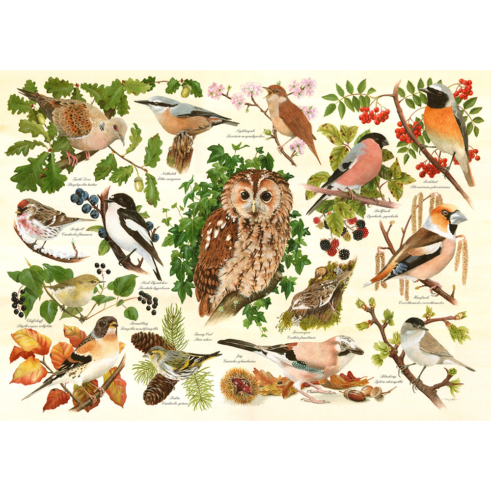 Woodland Birds - BIG 500 Piece Jigsaw Puzzle