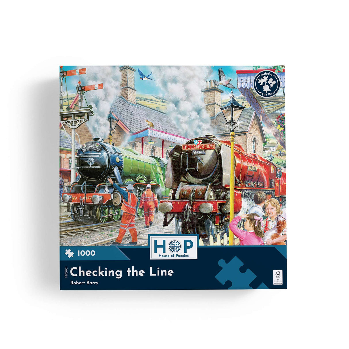 Checking the Line 1000 Piece Puzzle