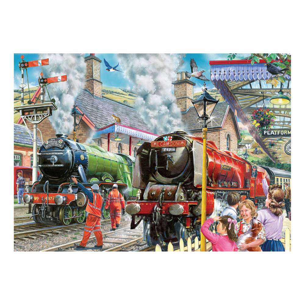 Checking the Line 1000 Piece Puzzle