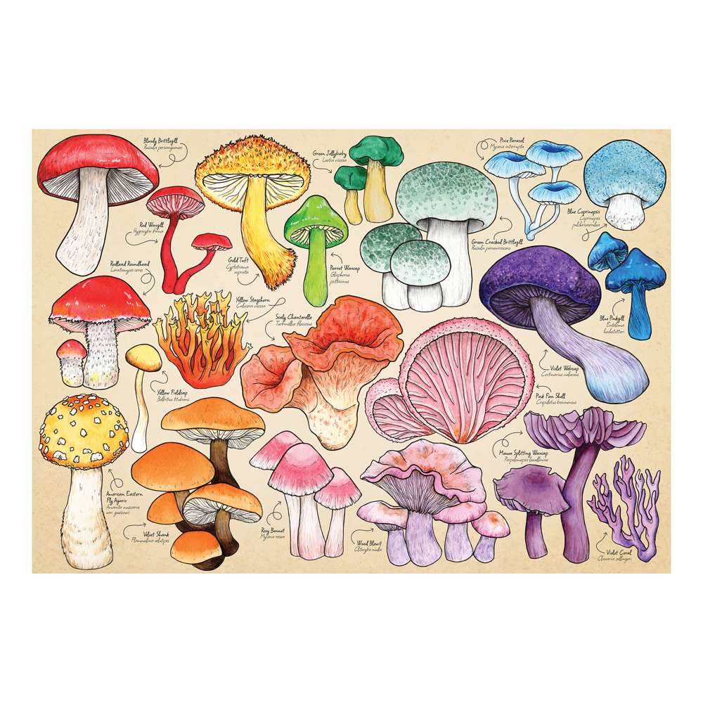 Mushroom Mania 1000 Piece Puzzle