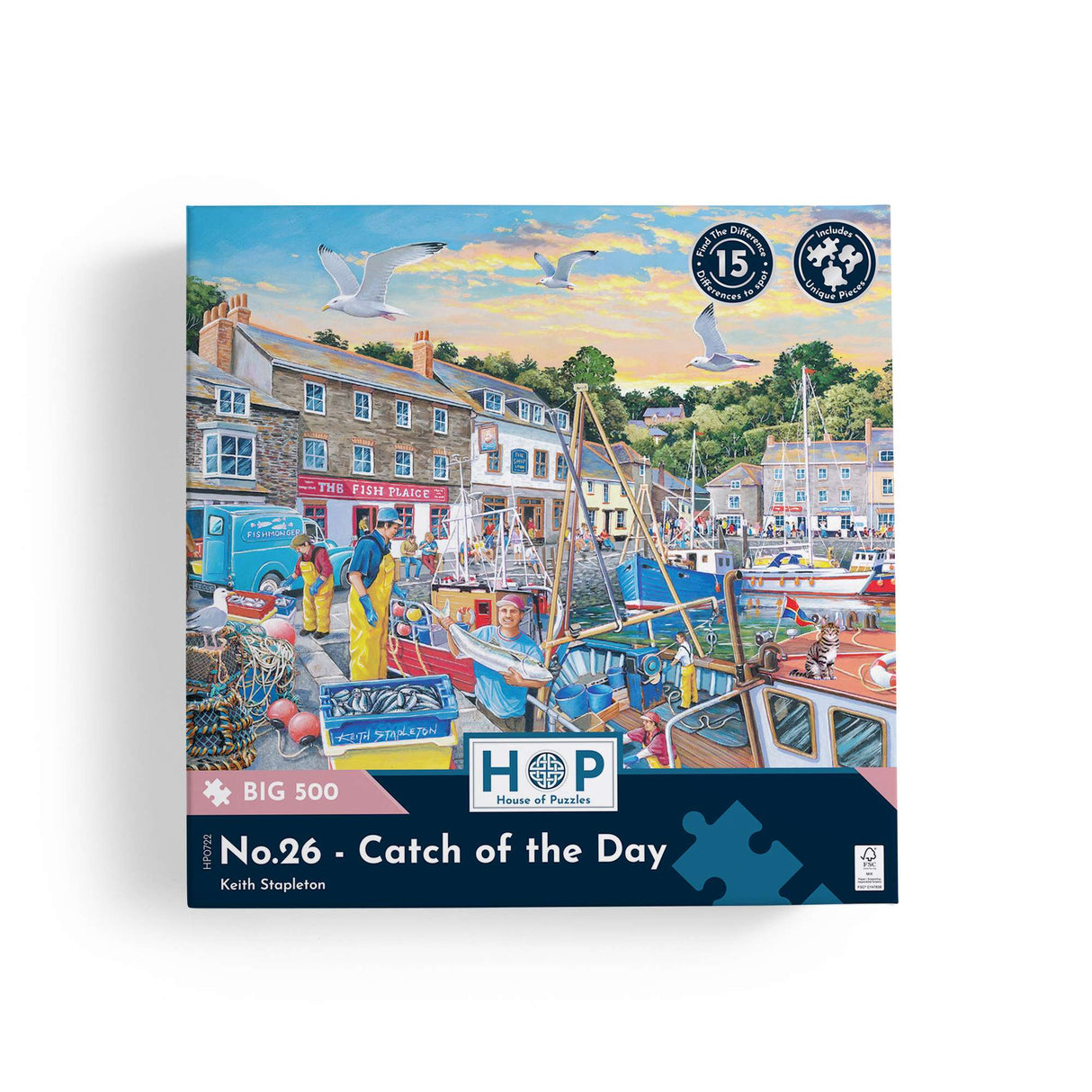 No.26 Catch of the Day Find The Difference BIG 500 Puzzle