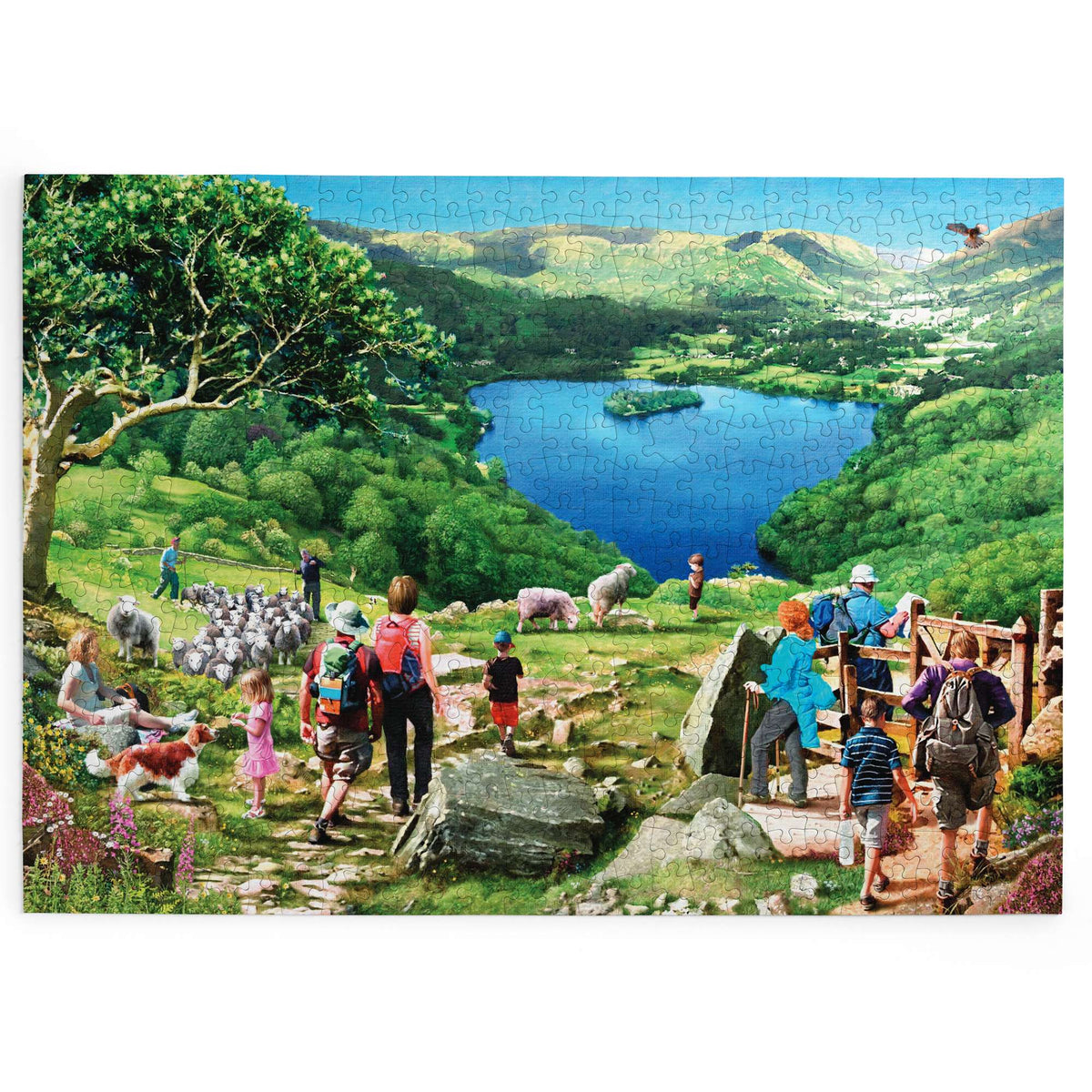 Lake View BIG 500 Puzzle