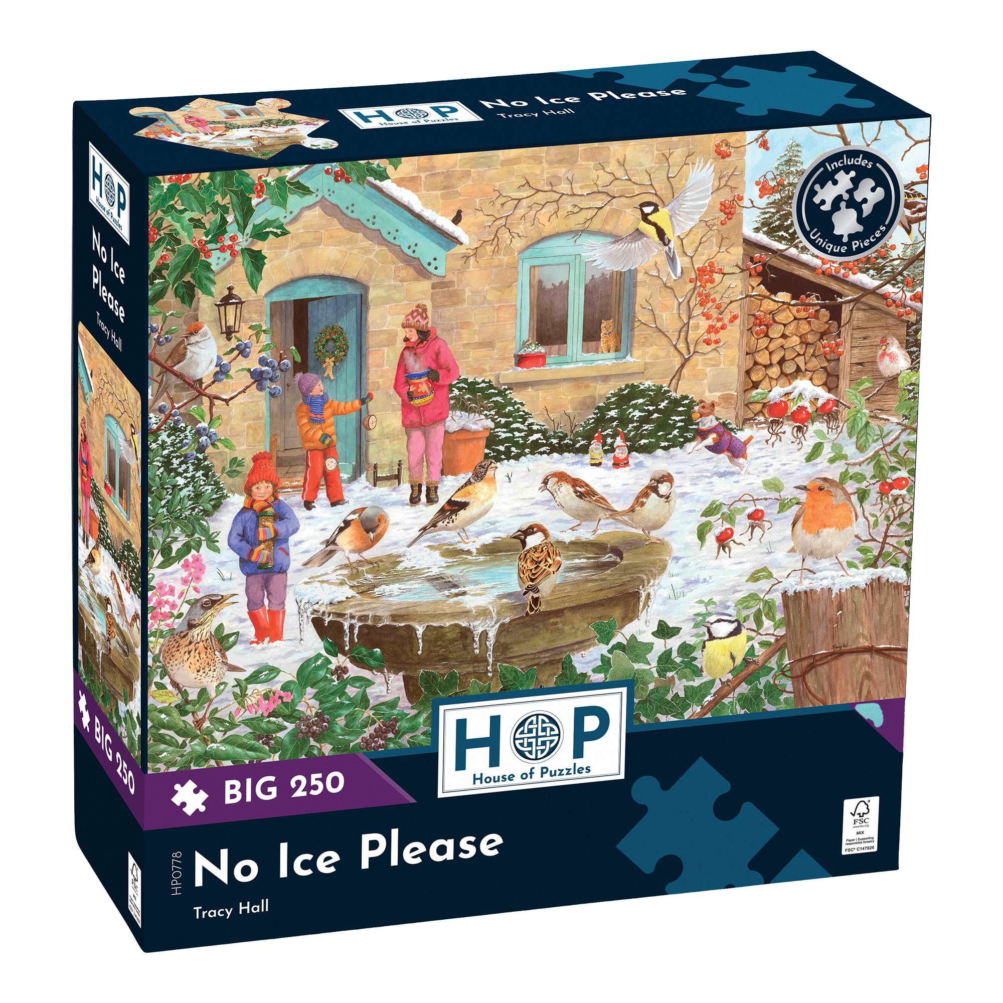 No Ice Please BIG 250 Jigsaw Puzzle – The House of Puzzles
