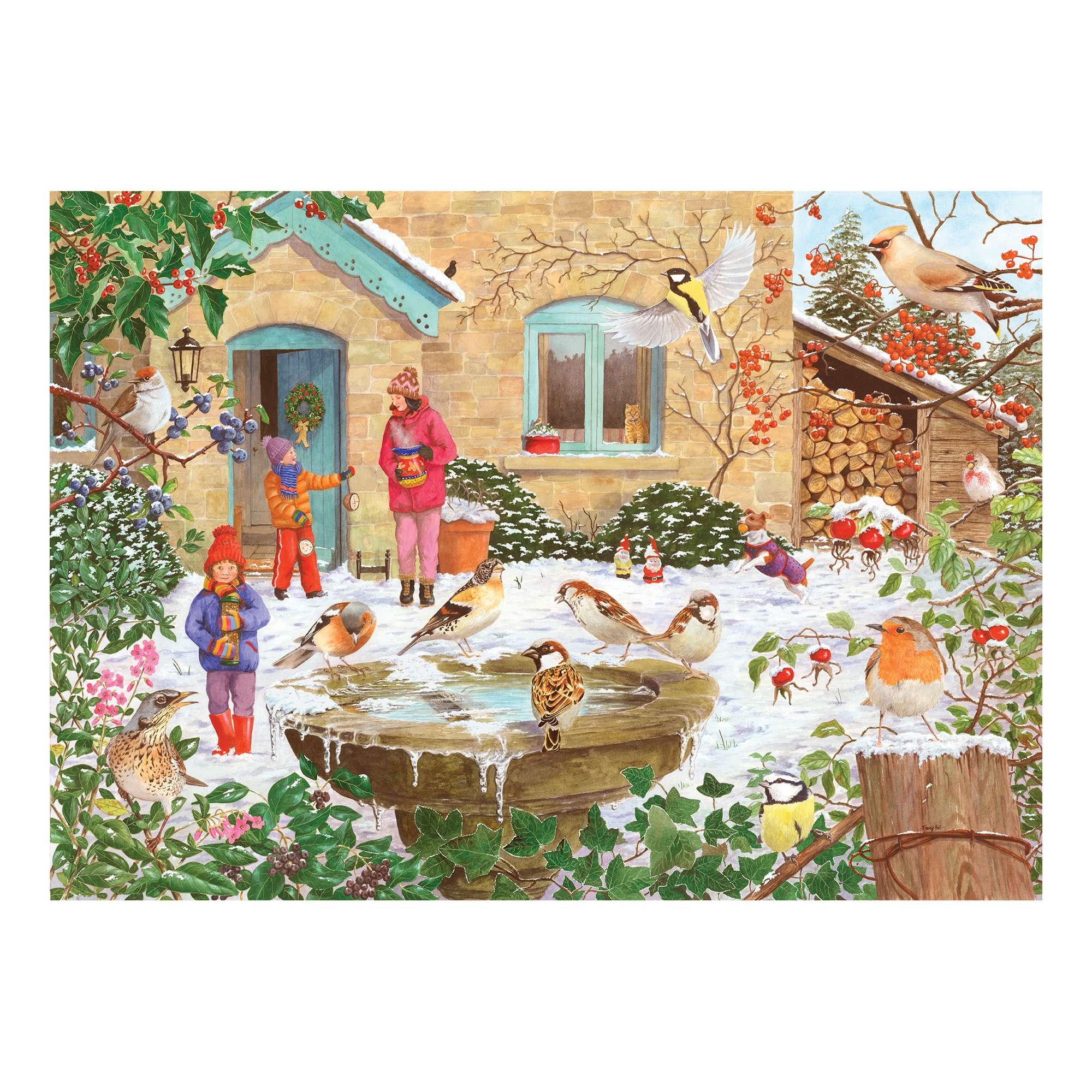 No Ice Please BIG 250 Jigsaw Puzzle – The House of Puzzles