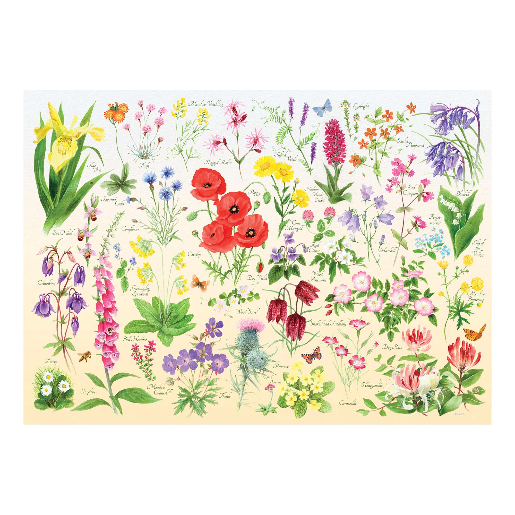 Wildflowers 150 Piece Mini Jigsaw Puzzle in a Tube – The House of