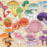 Mushroom Mania 150 Piece Mini Jigsaw Puzzle in a Tube