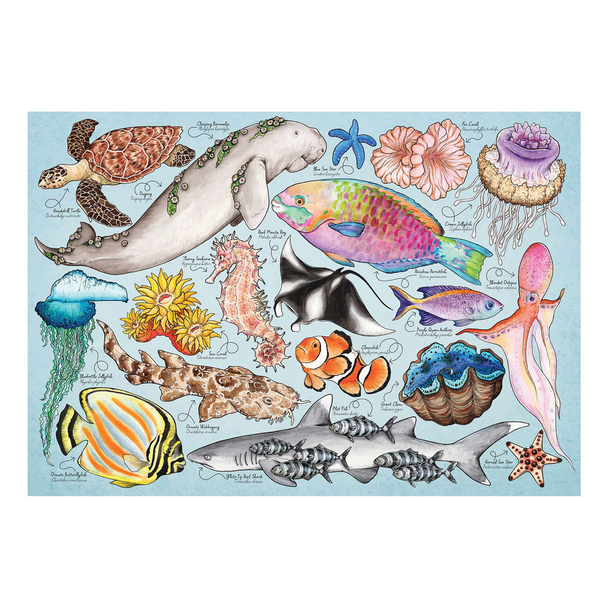 Great Barrier Reef 150 Piece Mini Jigsaw Puzzle in a Tube
