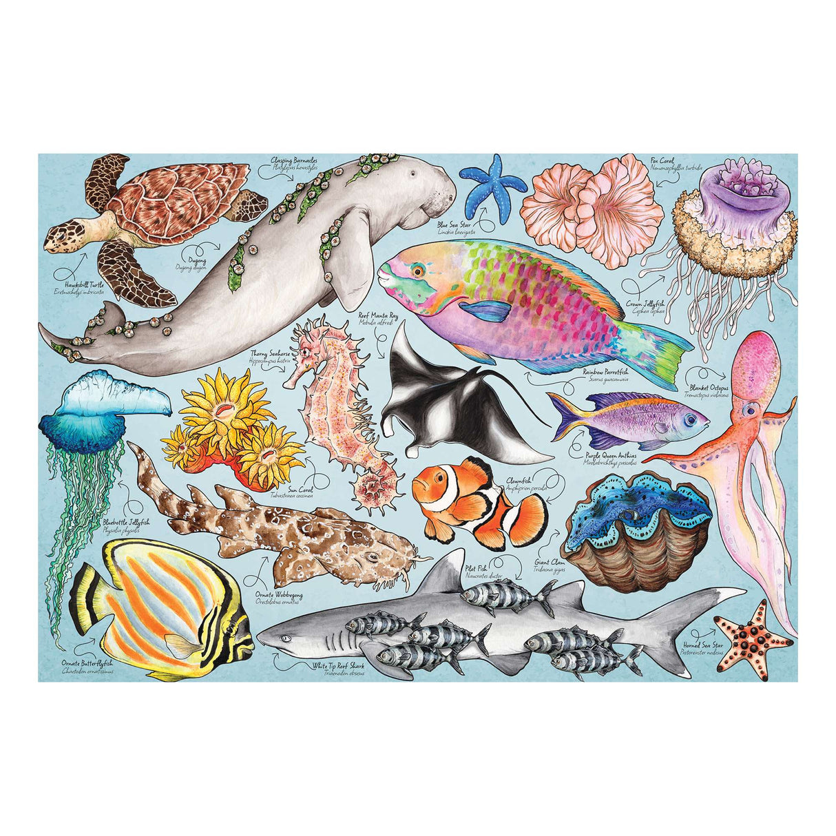 Great Barrier Reef 1000 Piece Jigsaw Puzzle