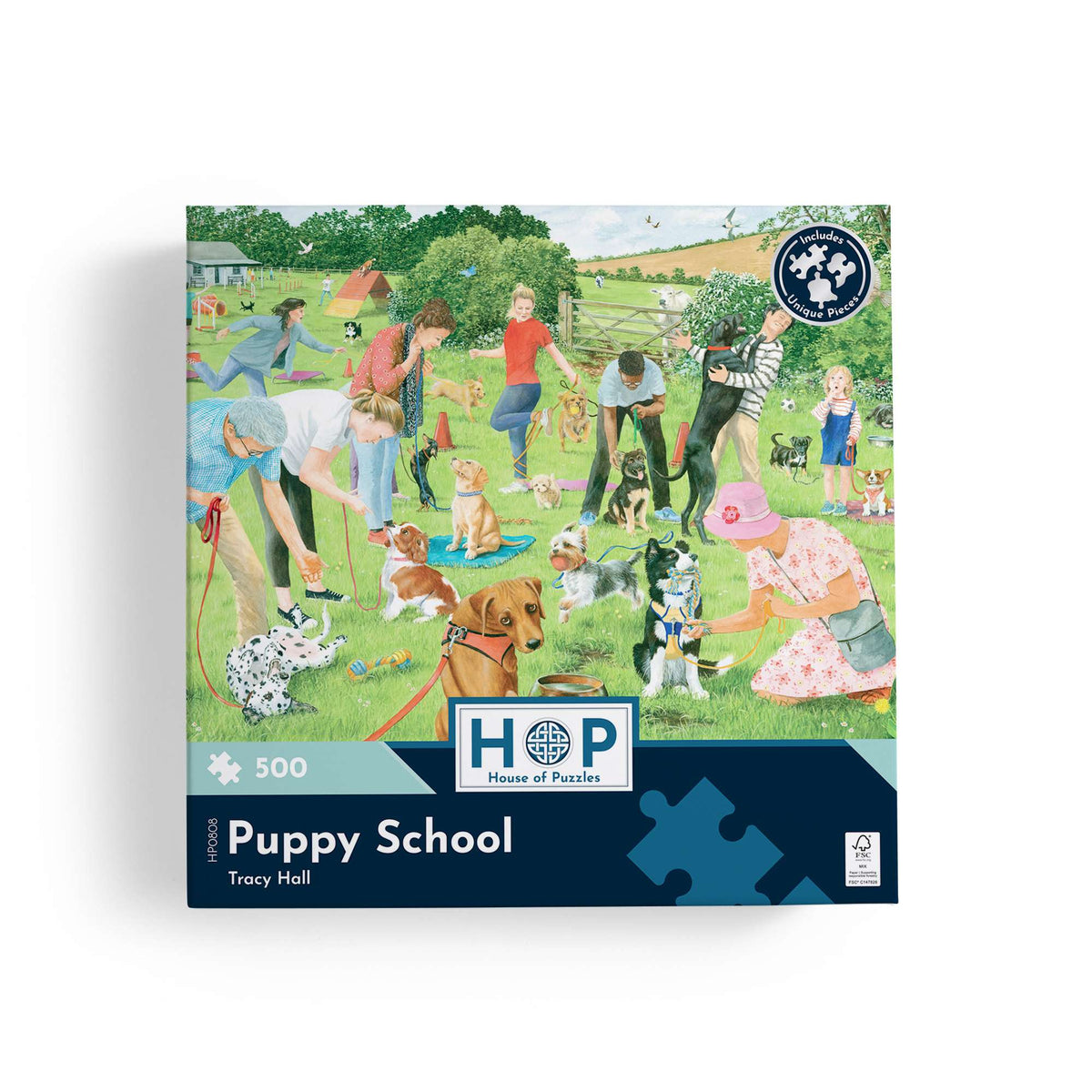 Puppy School 500 Piece Jigsaw Puzzle