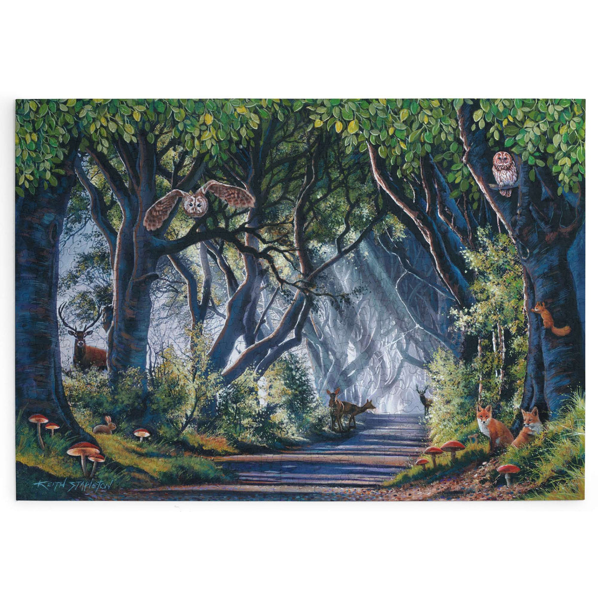 Dark Hedges 500 Piece Jigsaw Puzzle
