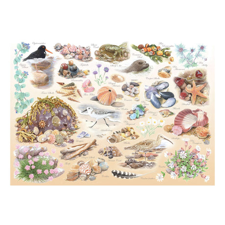 Sea Shore BIG 500 Jigsaw Puzzle