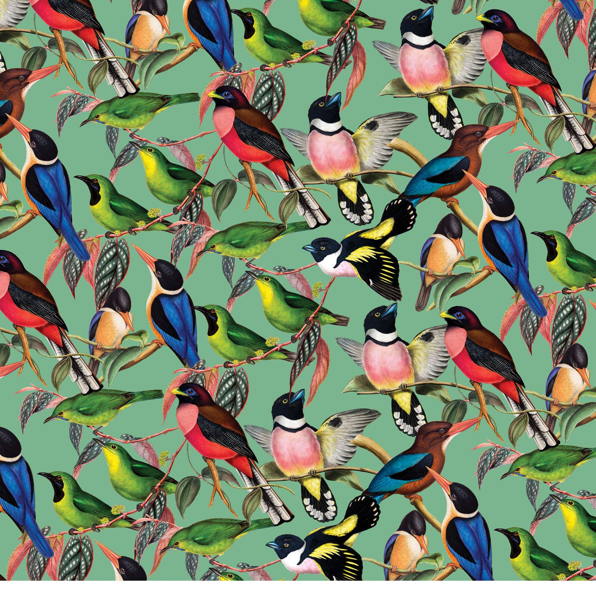 ZSL Brilliant Birds 1000 Piece Jigsaw Puzzle