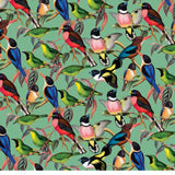 ZSL Brilliant Birds 1000 Piece Jigsaw Puzzle