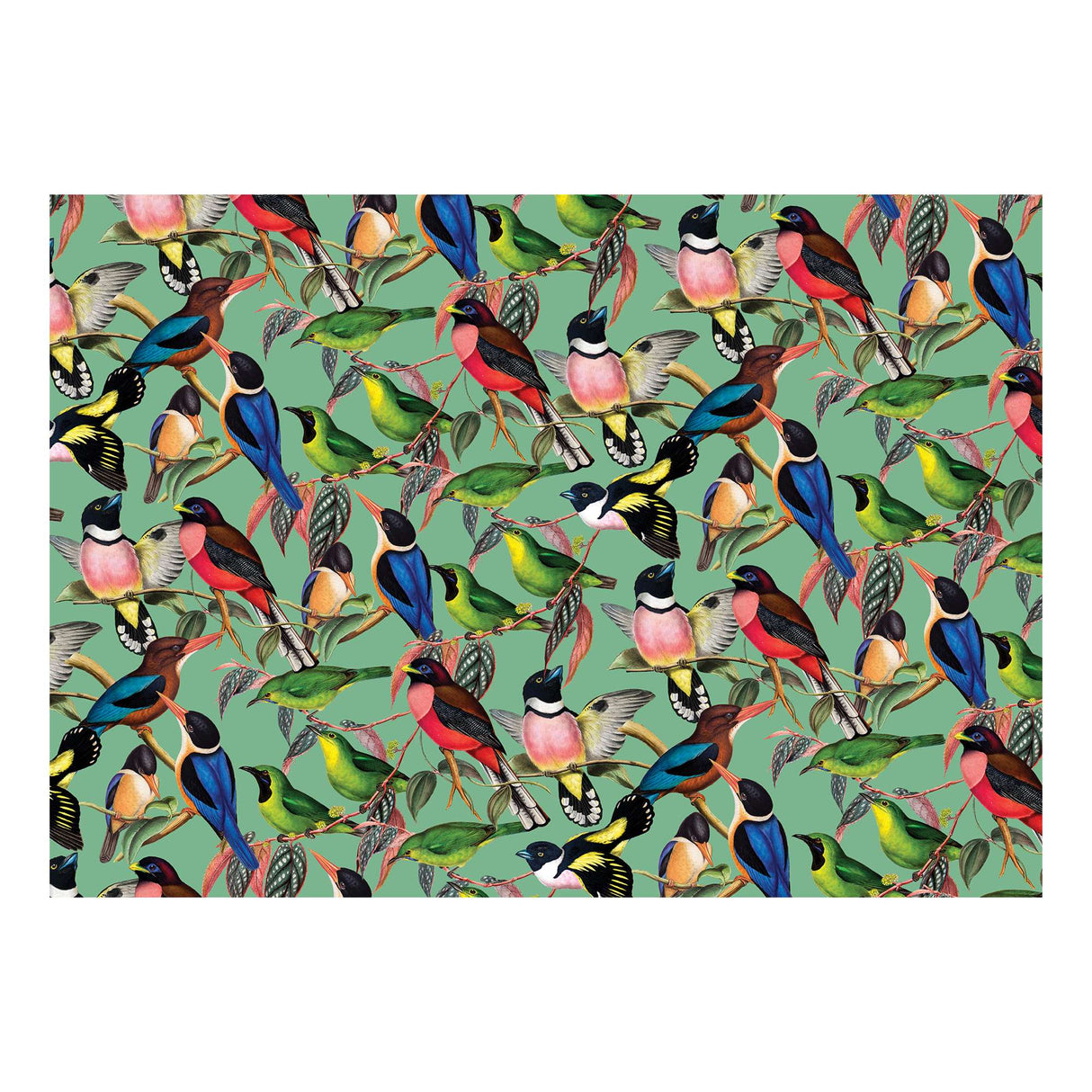 ZSL Brilliant Birds 1000 Piece Jigsaw Puzzle